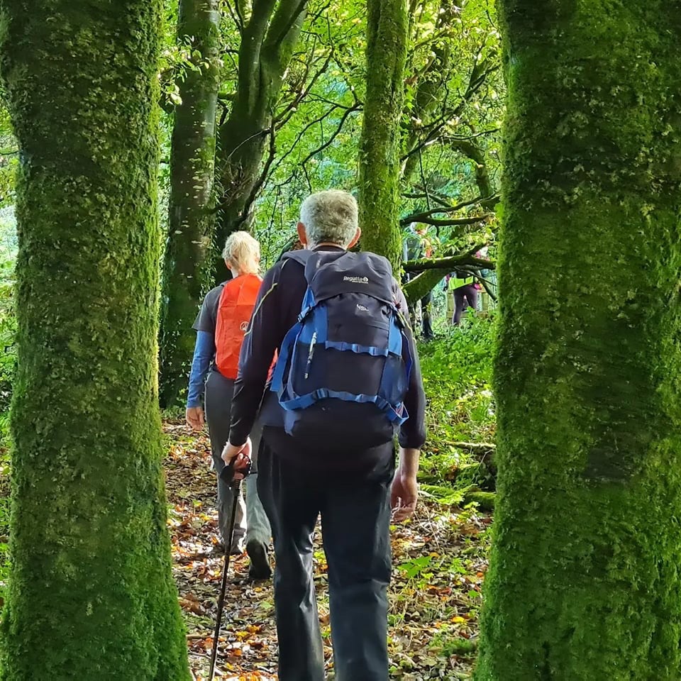 Bullig Bay Loop Walk