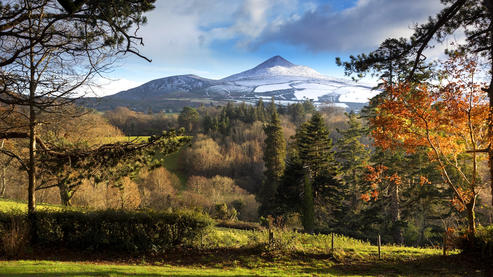 Wicklow Mountains National Park