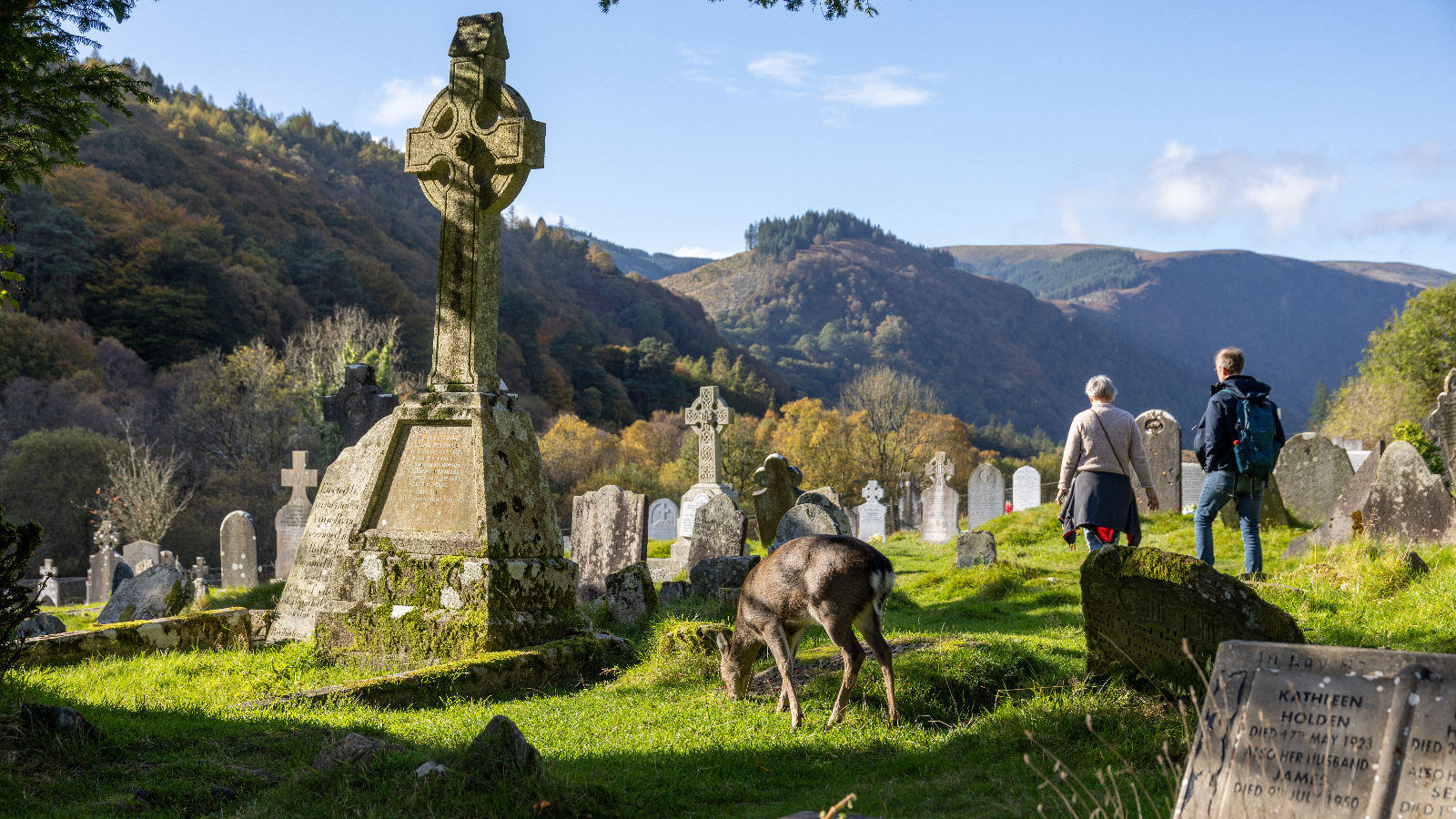 Wicklow Mountains National Park